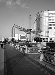 托克托公司注册